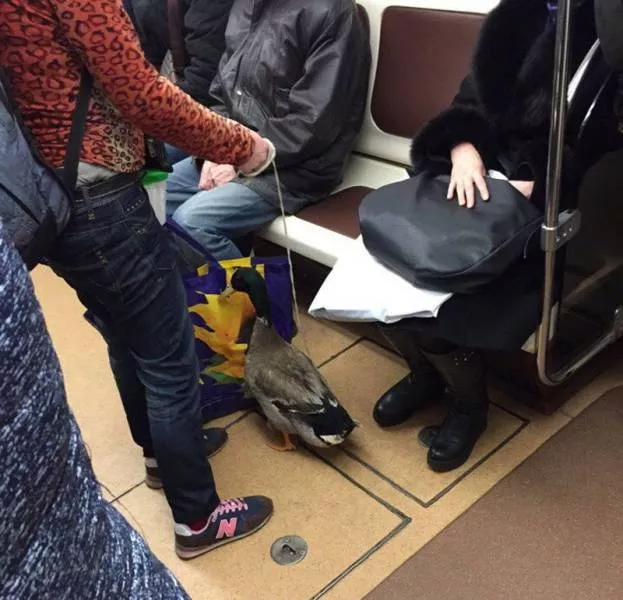 Picdump 199 - #8 