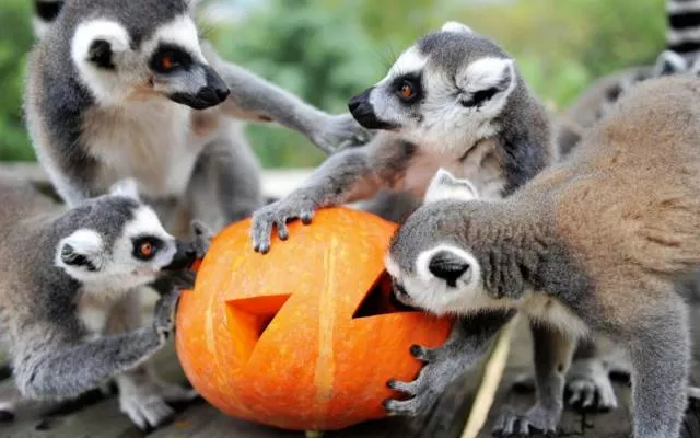 Picdump 199 - #83 