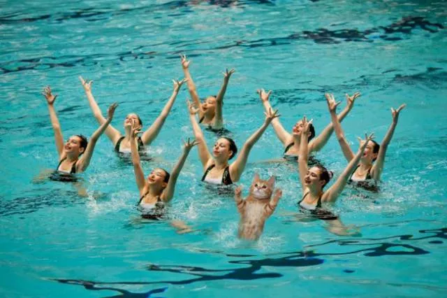 Imagination photoshop - #14 