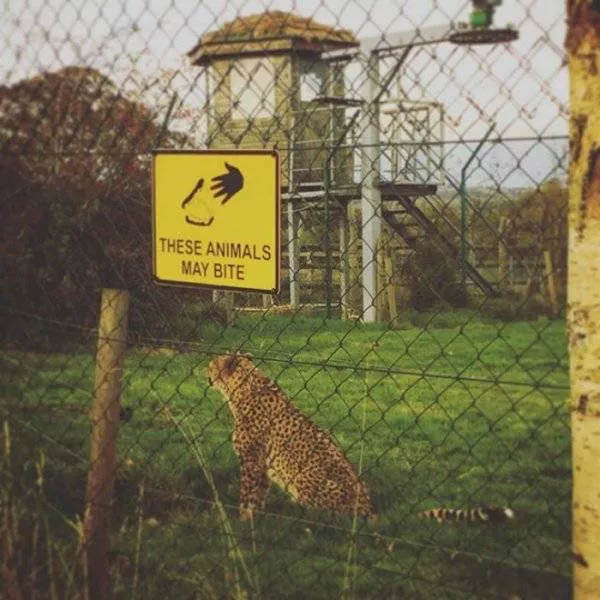 The most ridiculous messages - #6 