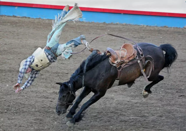 Picdump 5 - #17 