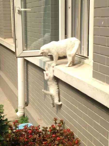 Picdump 5 - #36 
