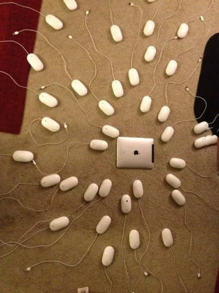 Picdump 5 - #5 