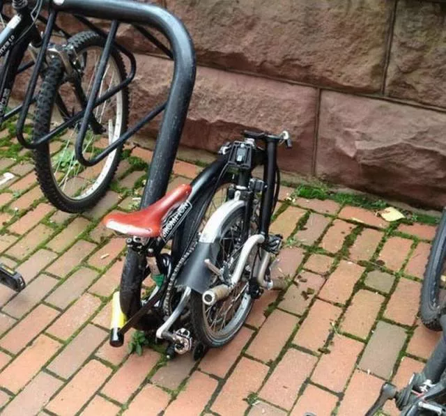 Picdump 5 - #52 