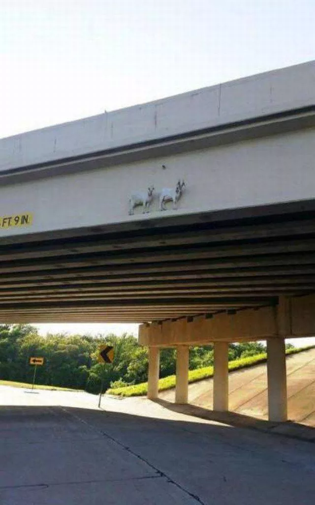 Picdump 5 - #53 