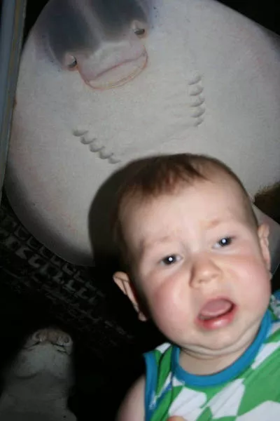 Best of photobombing - #12 