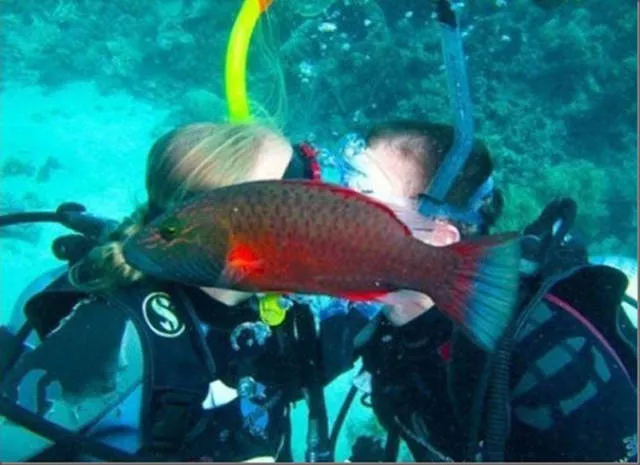Best of photobombing - #13 