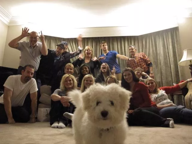 Best of photobombing - #31 