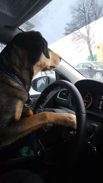 Picdump 200 - #3 