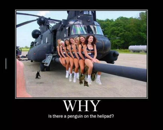 Picdump 200 - #39 