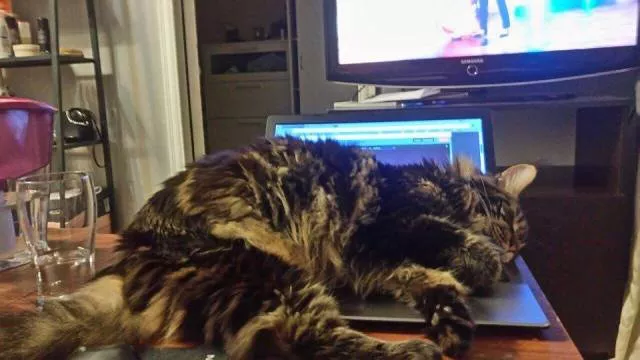 Picdump 201 - #18 