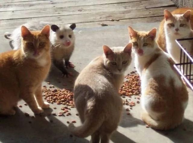 Picdump 201 - #19 
