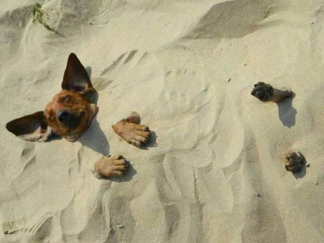 Picdump 201 - #35 
