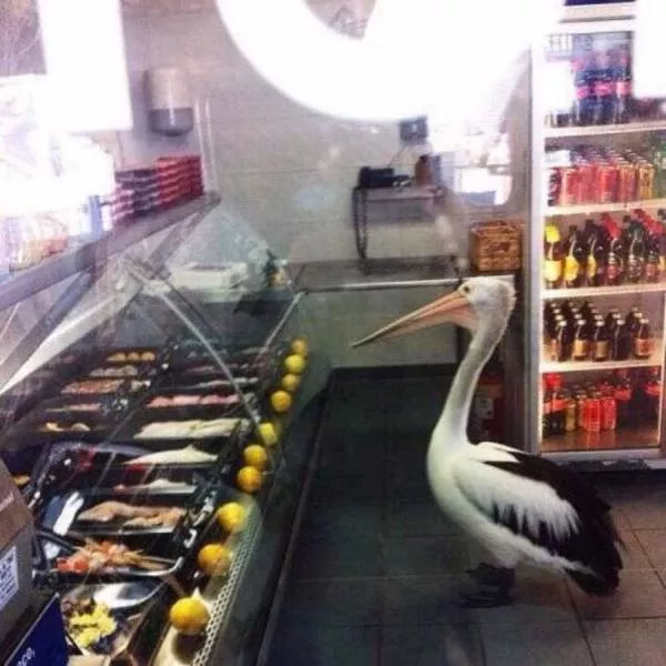 Picdump 201 - #58 