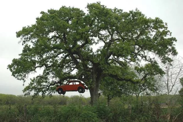 Picdump 201 - #7 