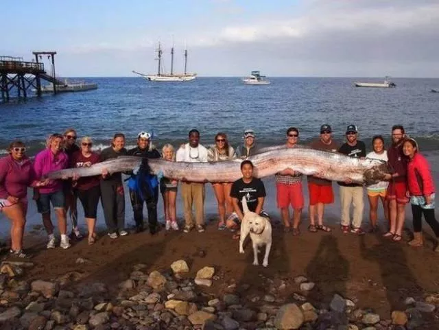 Picdump 201
