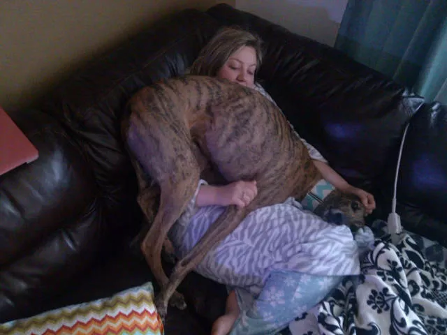 Picdump 202 - #7 