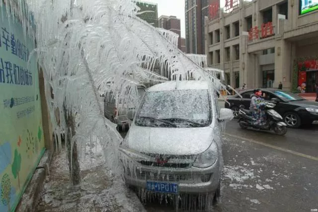 Picdump 203 - #17 
