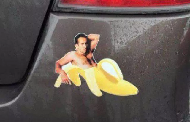 Picdump 203 - #18 