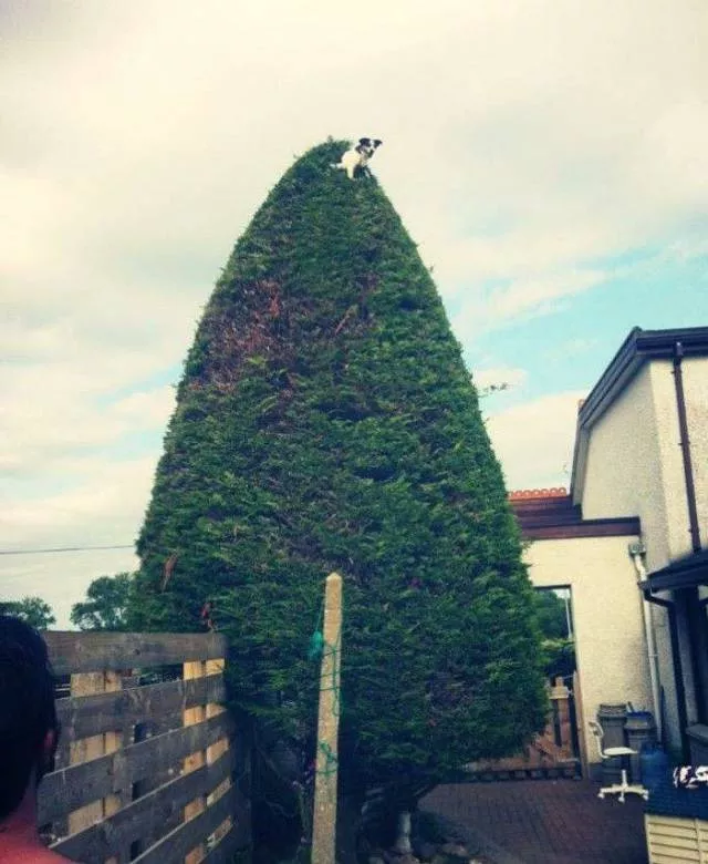 Picdump 203 - #25 