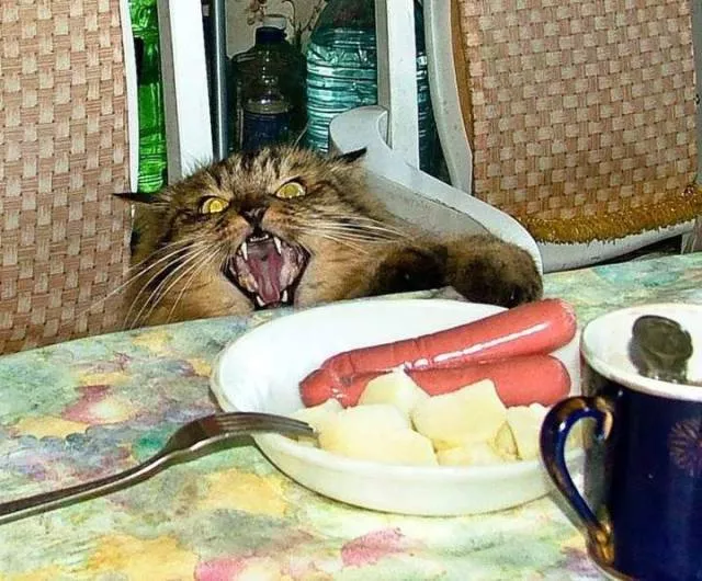 Picdump 203 - #27 