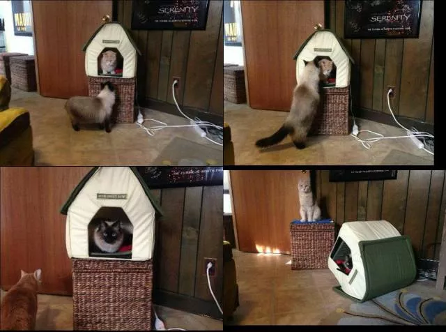 Picdump 203 - #33 