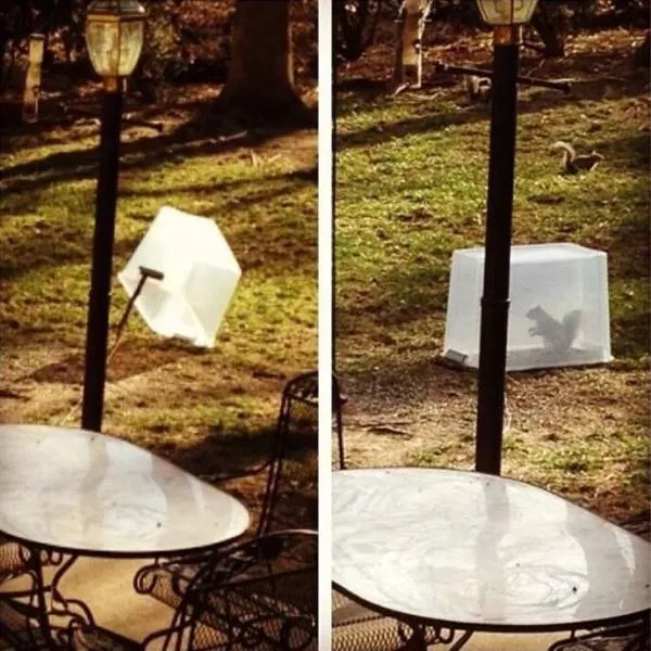 Picdump 203 - #40 