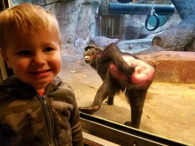 Picdump 203