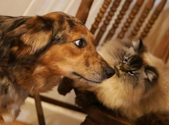 Picdump 203 - #45 