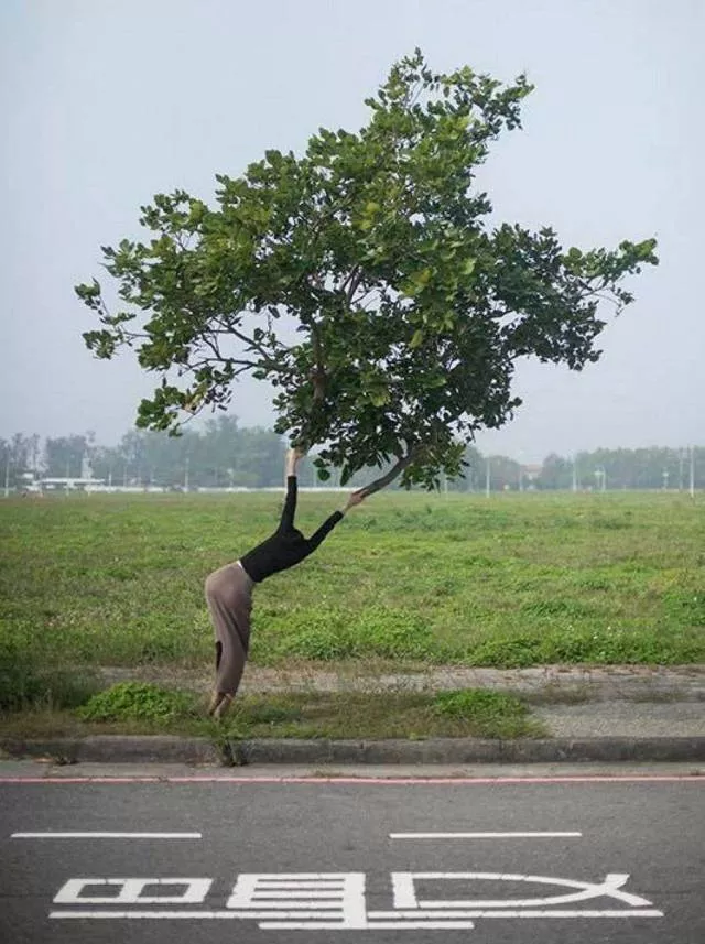 Picdump 203 - #47 