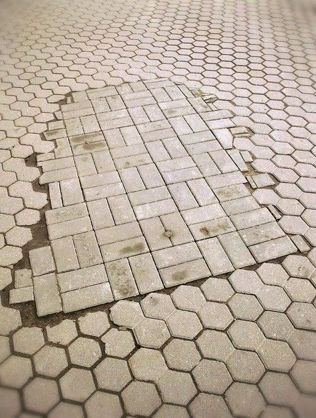 Picdump 203 - #66 