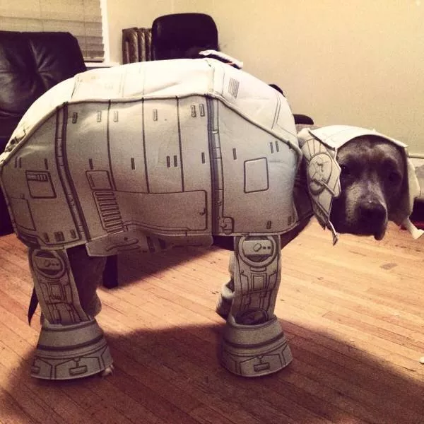Picdump 203 - #67 
