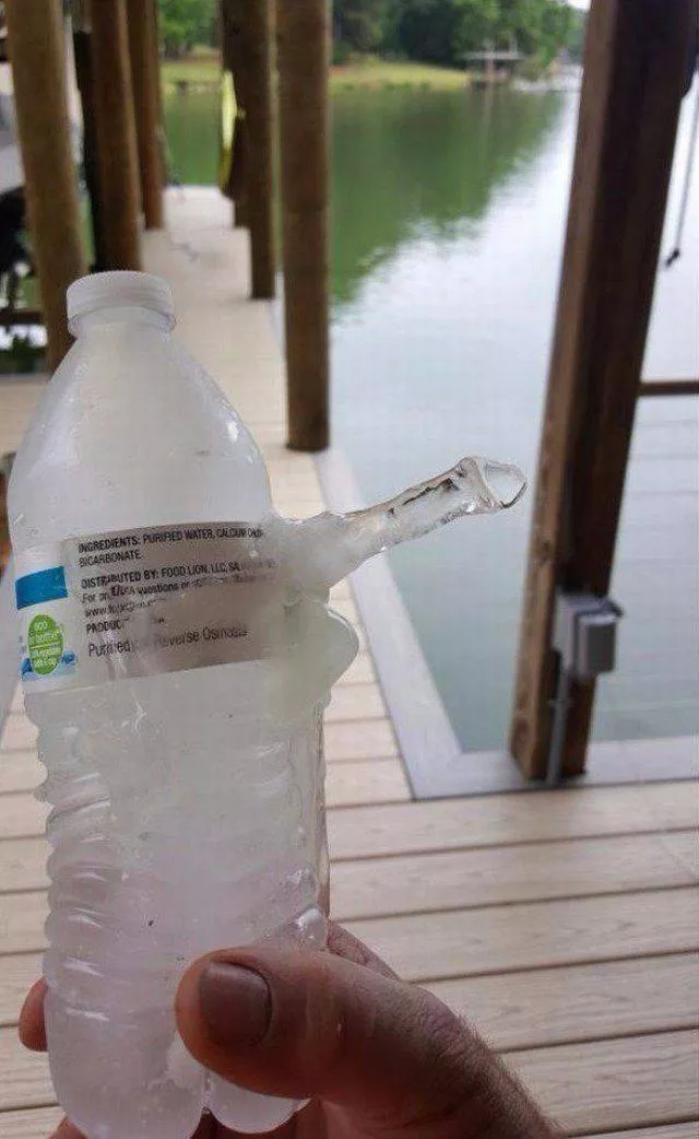 Picdump 203 - #73 