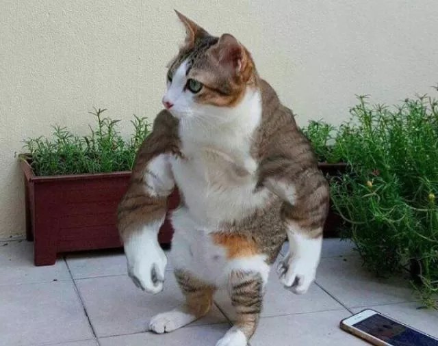 The worst photoshop edits ever seen - #11 