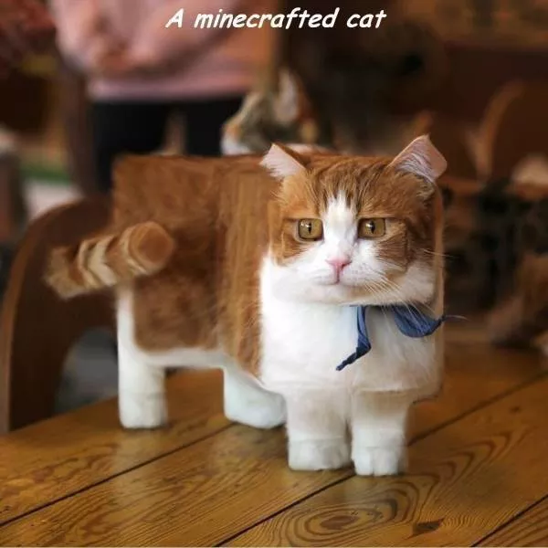 Les pires retouches photoshop jamais vues - #16 