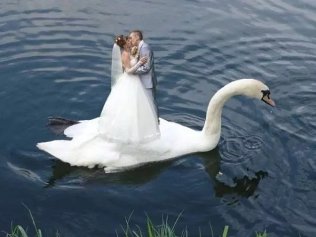 The worst photoshop edits ever seen