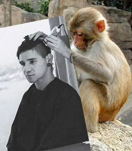 Les pires retouches photoshop jamais vues - #7 