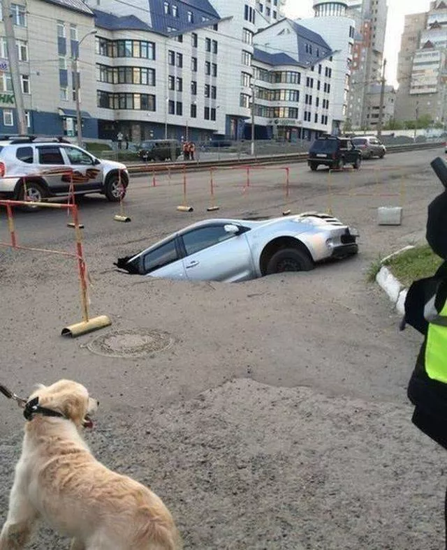 Picdump 204 - #14 