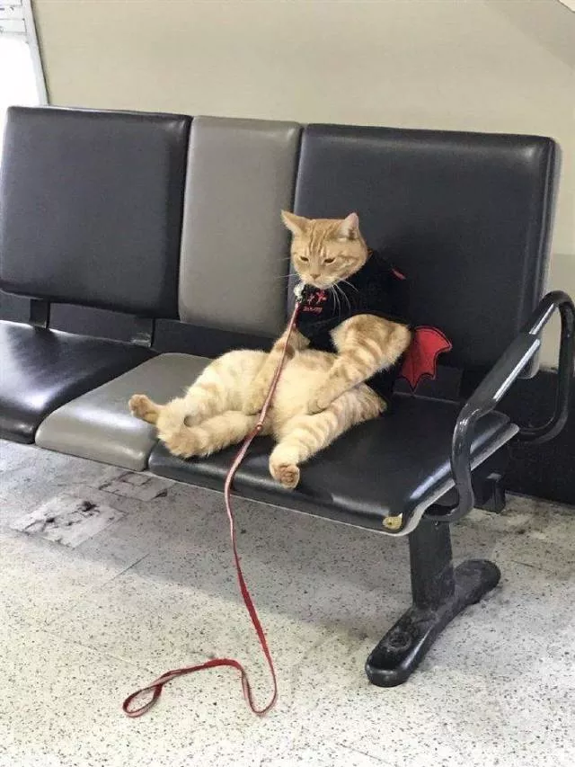 Picdump 204 - #15 