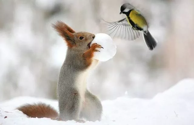 Picdump 204 - #20 