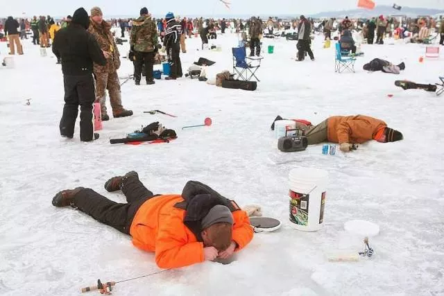 Picdump 204 - #24 