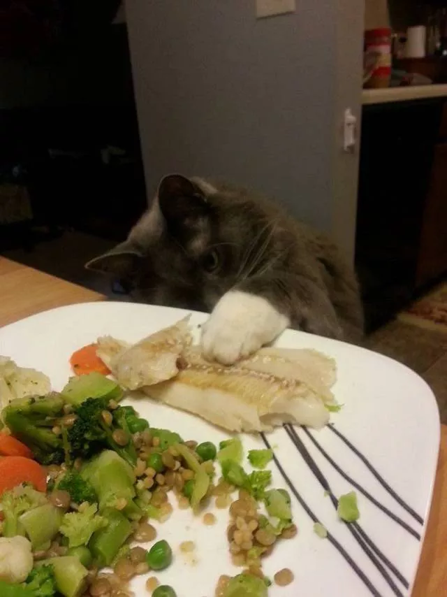 Picdump 204 - #36 