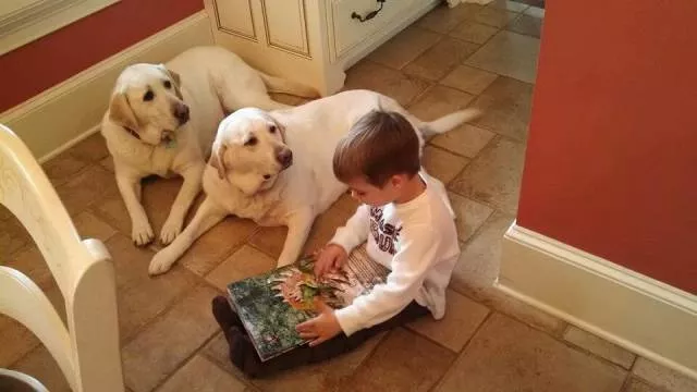 Picdump 204 - #9 