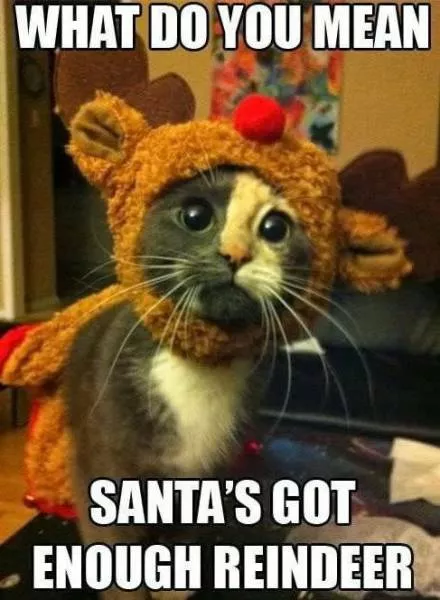Picdump 205 - #23 