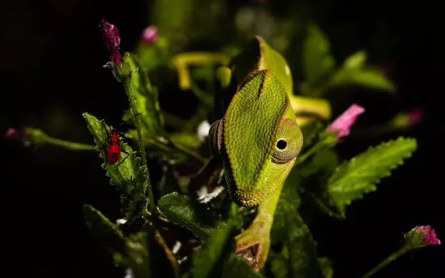 Nature is beautiful - #11 Nature is beautiful - #11