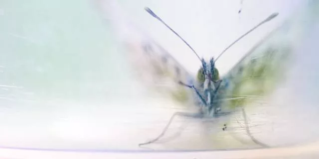 Nature is beautiful - #19 Nature is beautiful - #19