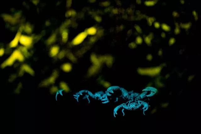 Nature is beautiful - #20 Nature is beautiful - #20
