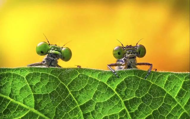 Nature is beautiful Nature is beautiful