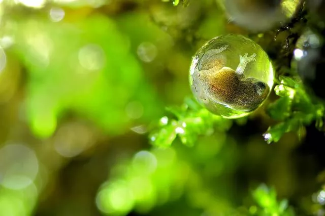 Nature is beautiful - #7 Nature is beautiful - #7