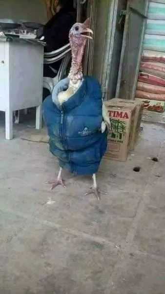 Picdump 206 - #1 